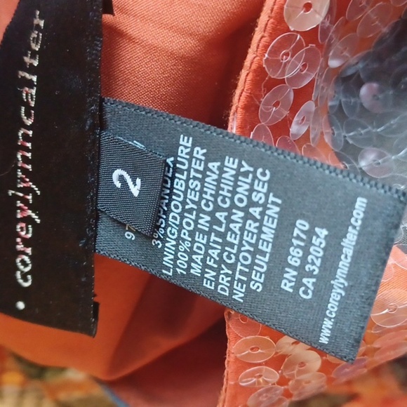 Anthropologie Corey Lynn Calter Sequin Striped Glinted Sunset Shift Dress size 2 - Picture 6 of 7